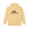 7983855086898075426_2048.jpeg BIG CONFIDENCE HOODIE— Trendy Looks All the Time!