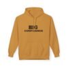 9633849339538320986_2048.jpeg BIG CONFIDENCE HOODIE— Trendy Looks All the Time!