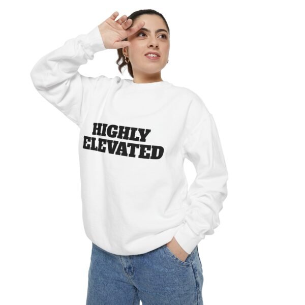 high premium quality vintage garment dyed sweatshirt