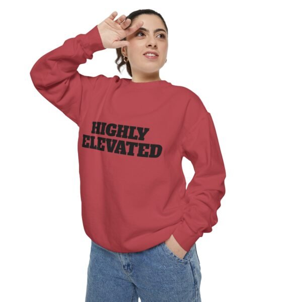 high premium quality vintage garment dyed sweatshirt
