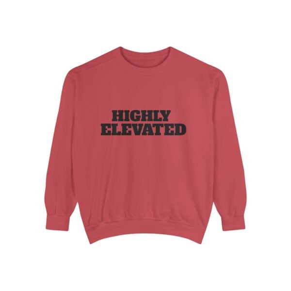 high premium quality vintage garment dyed sweatshirt